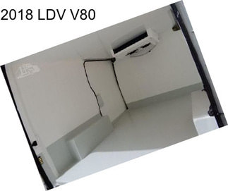 2018 LDV V80