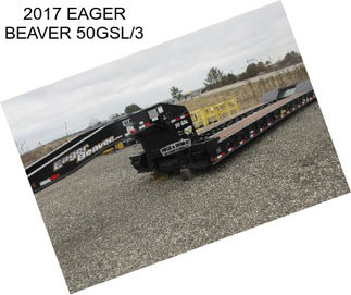 2017 EAGER BEAVER 50GSL/3