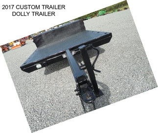 2017 CUSTOM TRAILER DOLLY TRAILER