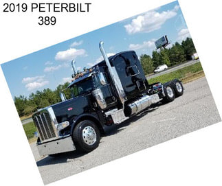 2019 PETERBILT 389