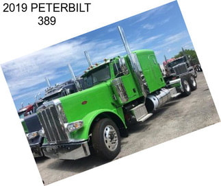 2019 PETERBILT 389