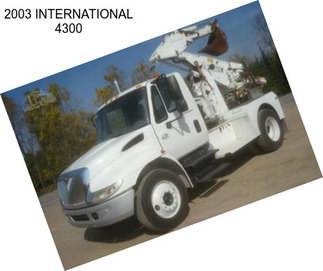 2003 INTERNATIONAL 4300