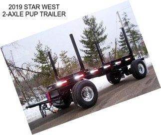 2019 STAR WEST 2-AXLE PUP TRAILER