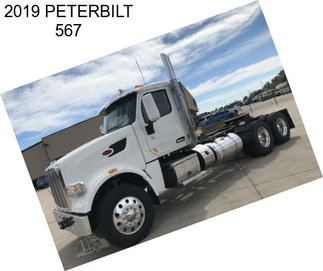 2019 PETERBILT 567