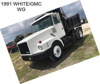 1991 WHITE/GMC WG