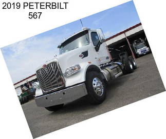 2019 PETERBILT 567