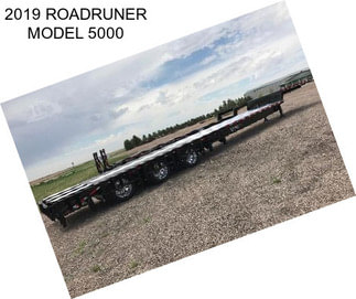 2019 ROADRUNER MODEL 5000