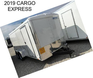 2019 CARGO EXPRESS