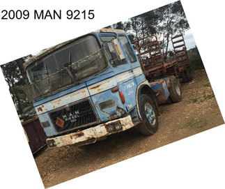 2009 MAN 9215