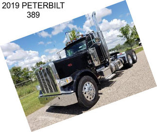 2019 PETERBILT 389