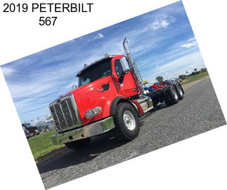 2019 PETERBILT 567