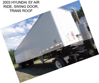 2003 HYUNDAI 53\' AIR RIDE, SWING DOOR, TRANS ROOF