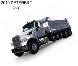 2019 PETERBILT 567