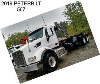 2019 PETERBILT 567