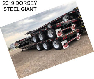 2019 DORSEY STEEL GIANT