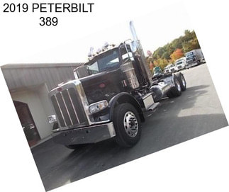 2019 PETERBILT 389