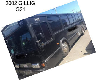 2002 GILLIG G21