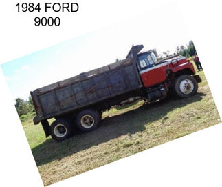 1984 FORD 9000