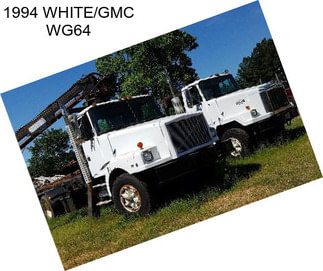 1994 WHITE/GMC WG64