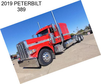 2019 PETERBILT 389