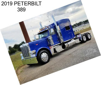 2019 PETERBILT 389