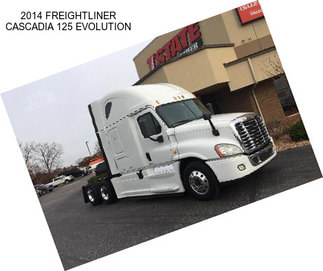 2014 FREIGHTLINER CASCADIA 125 EVOLUTION