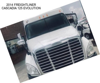 2014 FREIGHTLINER CASCADIA 125 EVOLUTION