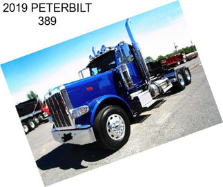 2019 PETERBILT 389