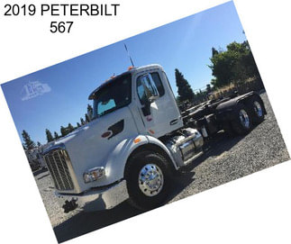 2019 PETERBILT 567