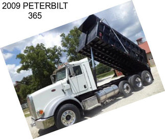 2009 PETERBILT 365