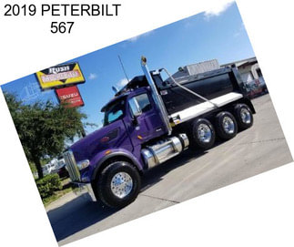 2019 PETERBILT 567