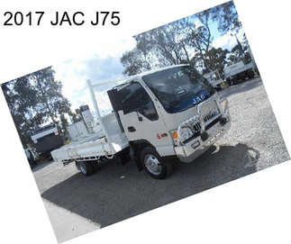 2017 JAC J75