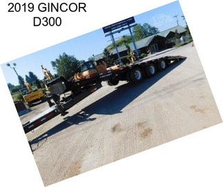 2019 GINCOR D300