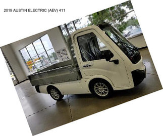 2019 AUSTIN ELECTRIC (AEV) 411