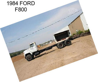 1984 FORD F800