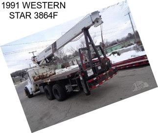 1991 WESTERN STAR 3864F