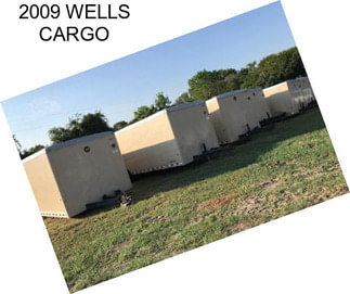 2009 WELLS CARGO