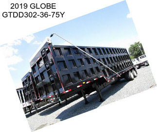 2019 GLOBE GTDD302-36-75Y