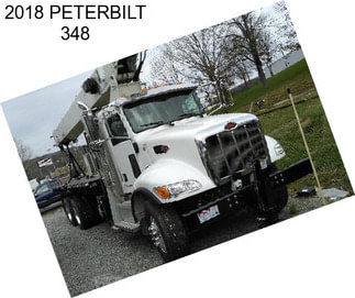 2018 PETERBILT 348