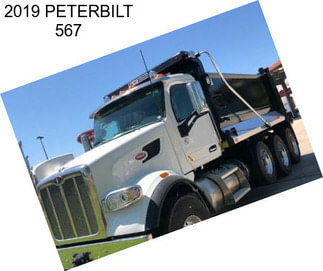 2019 PETERBILT 567