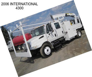 2006 INTERNATIONAL 4300