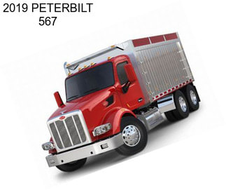 2019 PETERBILT 567