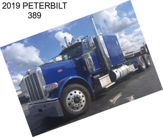 2019 PETERBILT 389