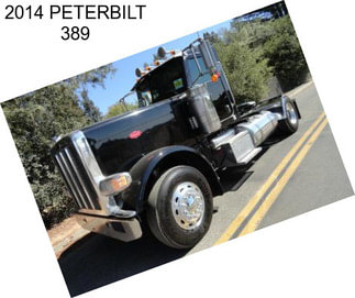 2014 PETERBILT 389