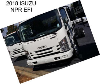 2018 ISUZU NPR EFI