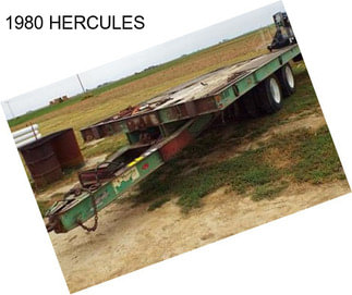 1980 HERCULES