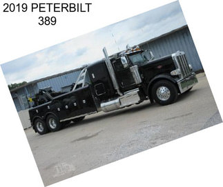 2019 PETERBILT 389