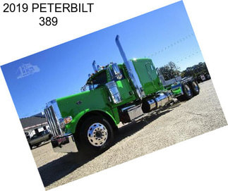 2019 PETERBILT 389