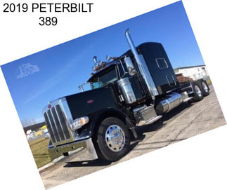 2019 PETERBILT 389