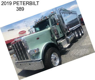 2019 PETERBILT 389